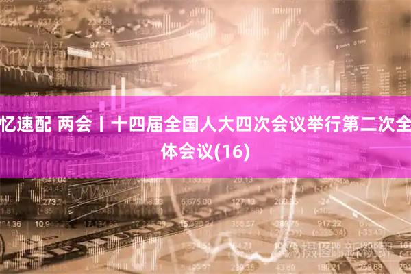 忆速配 两会丨十四届全国人大四次会议举行第二次全体会议(16)