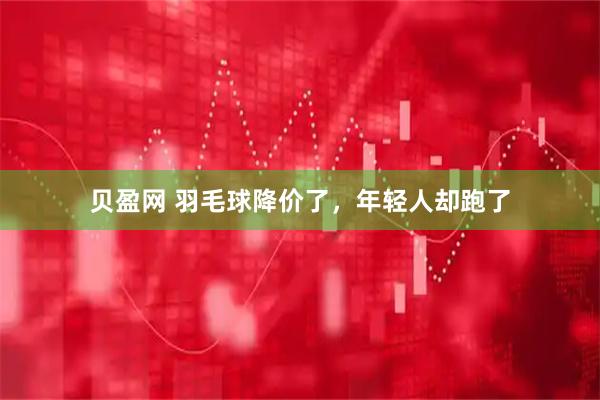 贝盈网 羽毛球降价了，年轻人却跑了