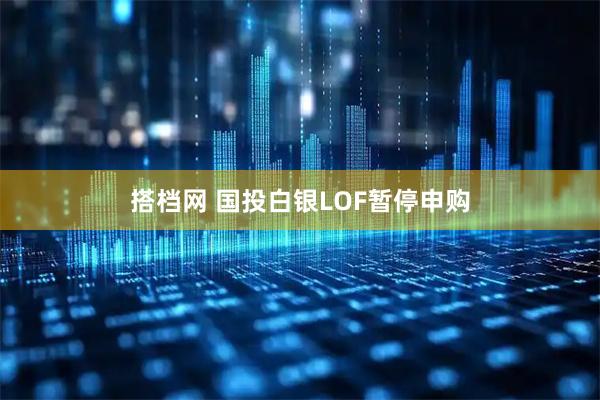搭档网 国投白银LOF暂停申购