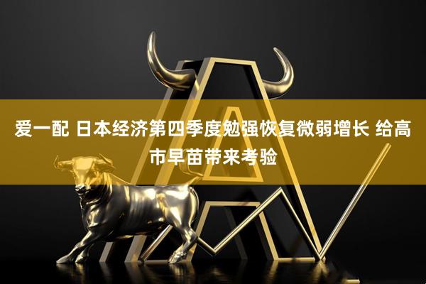 爱一配 日本经济第四季度勉强恢复微弱增长 给高市早苗带来考验