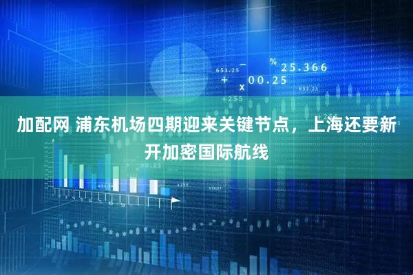 加配网 浦东机场四期迎来关键节点，上海还要新开加密国际航线