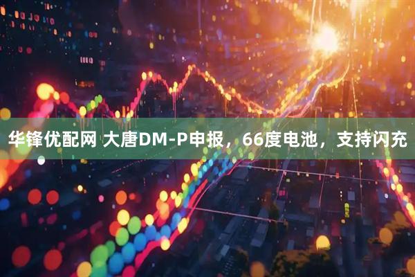 华锋优配网 大唐DM-P申报，66度电池，支持闪充