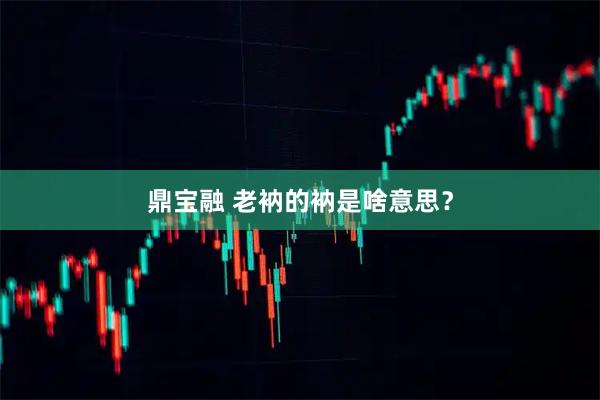 鼎宝融 老衲的衲是啥意思？