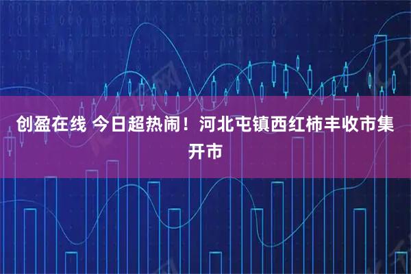 创盈在线 今日超热闹！河北屯镇西红柿丰收市集开市