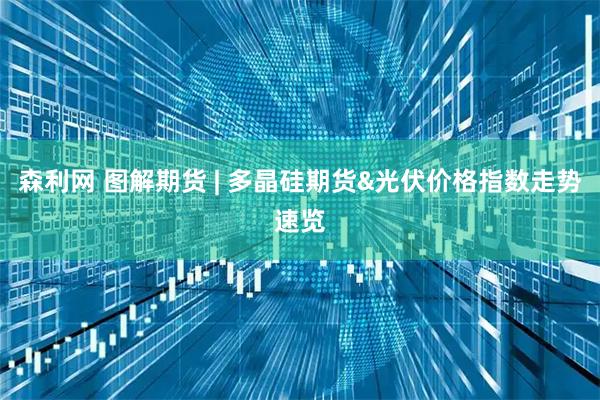 森利网 图解期货 | 多晶硅期货&光伏价格指数走势速览