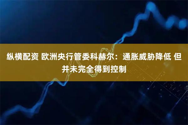 纵横配资 欧洲央行管委科赫尔：通胀威胁降低 但并未完全得到控制
