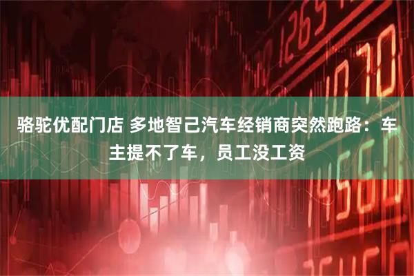 骆驼优配门店 多地智己汽车经销商突然跑路：车主提不了车，员工没工资